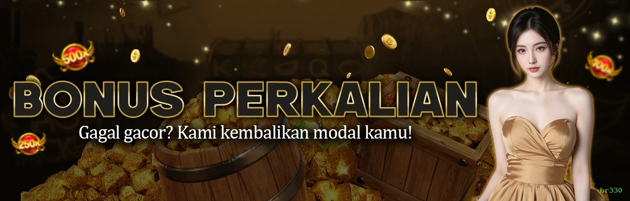Reload Bonus br330